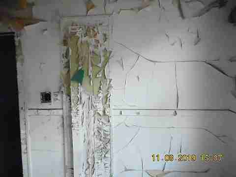 2919 Cortland (25)_m.jpg